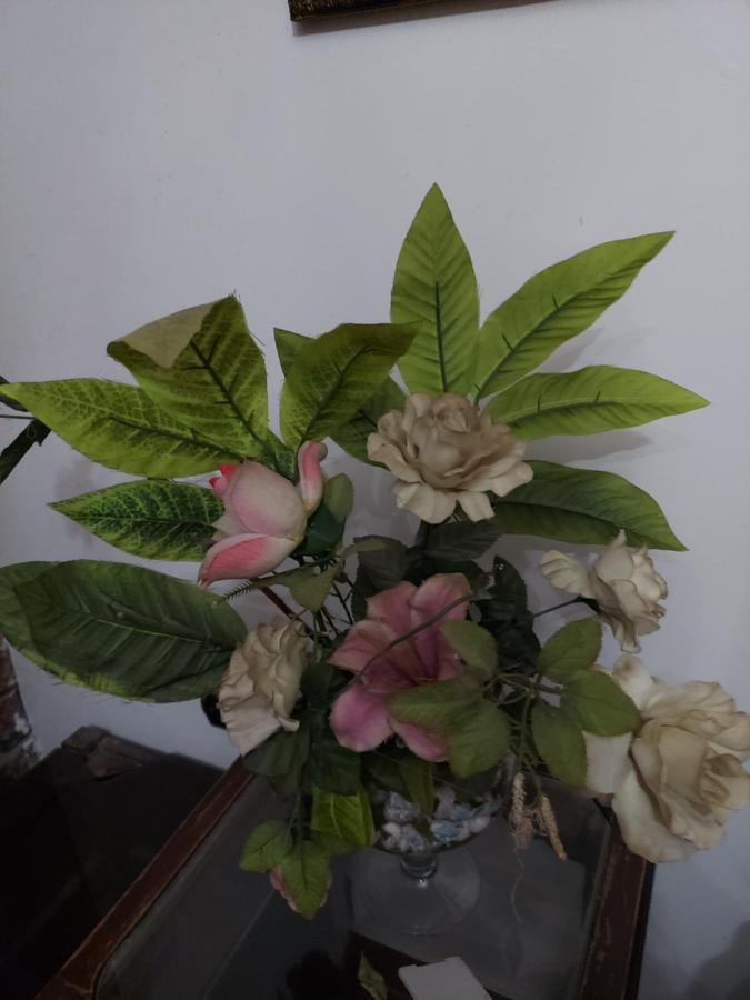 Al Moayad Apartment Near To Genina Mall, Abbas Al Akkad Kahire Dış mekan fotoğraf